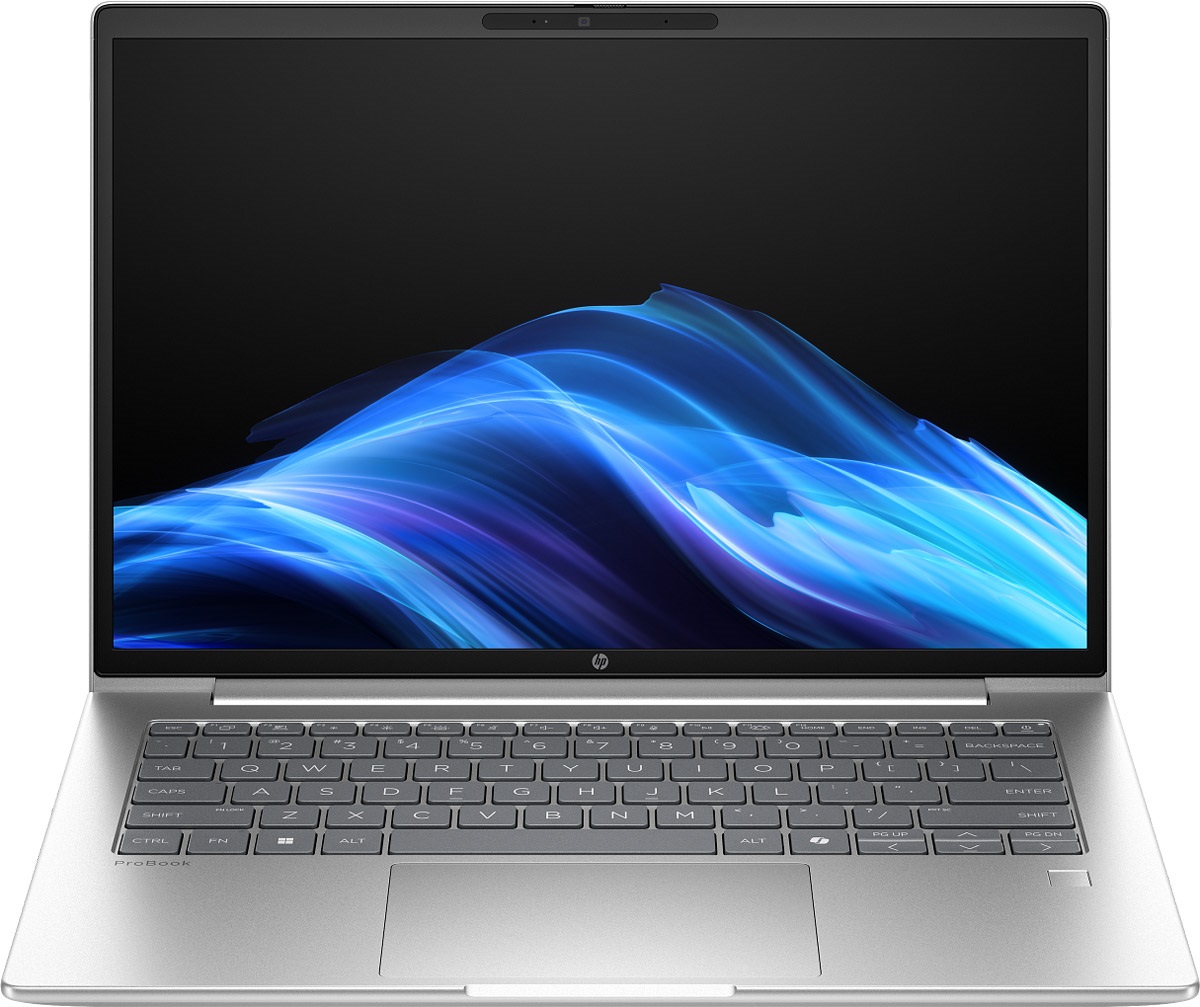 Ноутбук HP ProBook 4 G1ah 14 Pike Silver (AW7H4AV_V1)