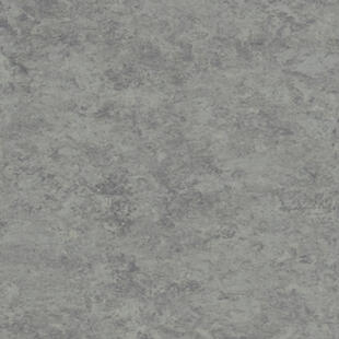 Натуральний лінолеум Tarkett Veneto essenza ALUMINIUM 672