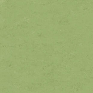 Натуральний лінолеум Tarkett Veneto essenza APPLE GREEN 754